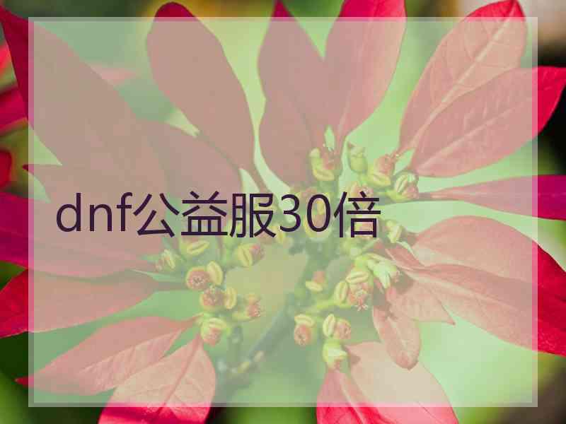 dnf公益服30倍
