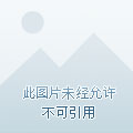 dnf私服怎么自动捡史诗材料_dnf史诗怎么自动捡_dnf自动捡装备的宠物