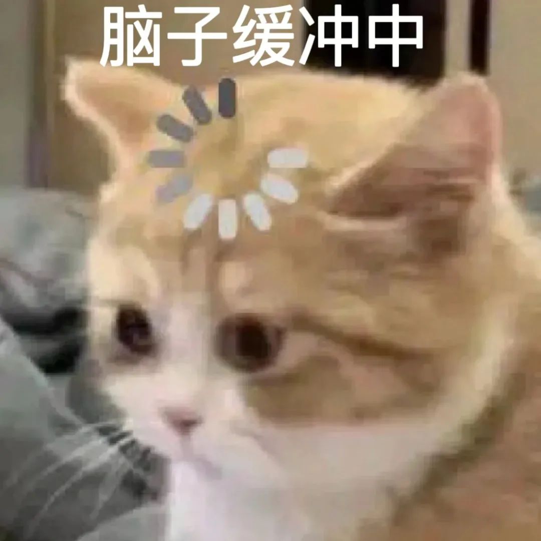 热血传奇怎么开私服_传奇怎么自己开私服_dnf私服多开