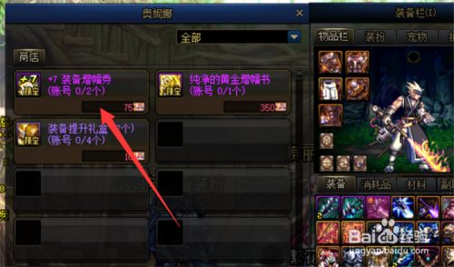dnf神圣的增幅保护券_dnf私服增幅券_dnf装备增幅券