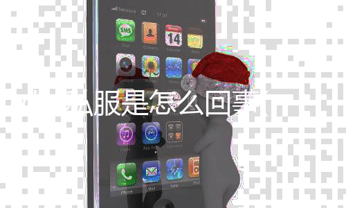 dnf私服是怎么回事(DNF安装过私服以后画面错位怎么改回来)