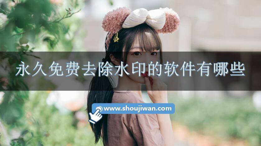 永久免费去除水印的软件有哪些-免费去除水印的软件下载
