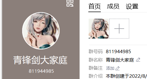 龙易dnf私服_私服dnf安全吗_木瓜dnf私服